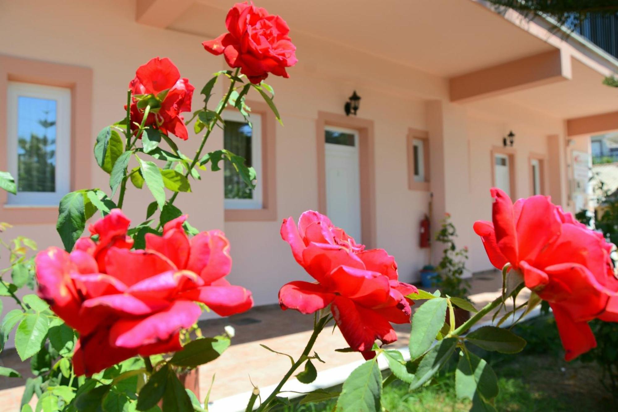 Red Rose Garden Apartment Tsilivi  Exterior photo